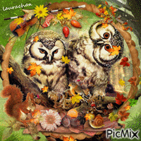Owls - laurachan - Zdarma animovaný GIF