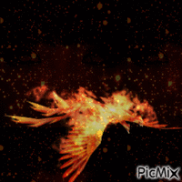 Phoenix animovaný GIF