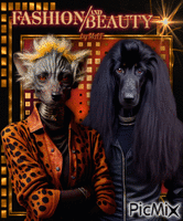 Fashion and Beauty - 免费动画 GIF