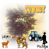 Cowboys On The Farm GIF animata