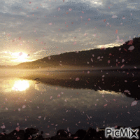 Fogy'z Fotoz Dawn/Sunrise - GIF animé gratuit