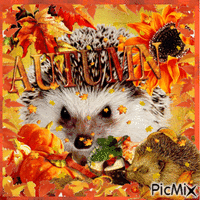 Hedgehogs in Autumn with leaves