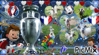 vive l' euro 2016 avec mes chèvres アニメーションGIF