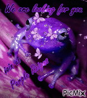 Purple Frog - Bezmaksas animēts GIF