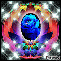 piękna róża - Безплатен анимиран GIF