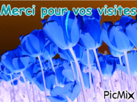 merci pour vos visites - Zdarma animovaný GIF
