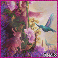 Fairies & The Hummingbirds - Ingyenes animált GIF