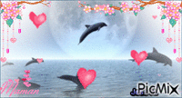 L'amour des dauphins - GIF animé gratuit