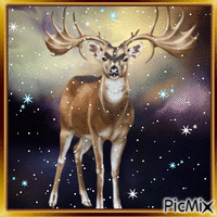 le cerf - Free animated GIF