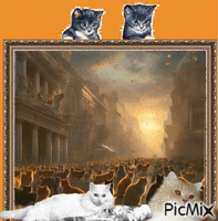 Concours : Des chats envahissent un pays - Бесплатный анимированный гифка