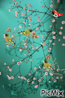 Little birds - Бесплатный анимированный гифка