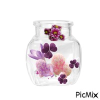vaso Animated GIF