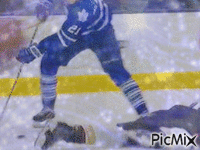 Hockey best - Free animated GIF