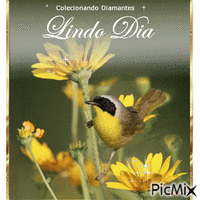 Dia lindo - Бесплатный анимированный гифка