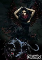 gothic panther - Ingyenes animált GIF