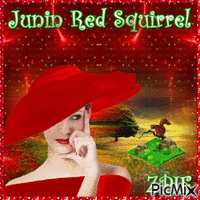 Junin Red Squirrel animált GIF