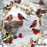 Birds and Winter - GIF animé gratuit