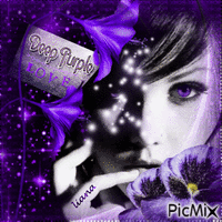 deep purple....... - GIF animasi gratis