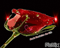 perfume vermelho - Darmowy animowany GIF