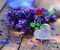 rosa romantica - Безплатен анимиран GIF