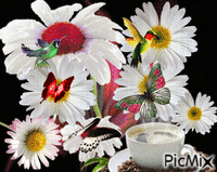 Margaridas & borboletas анимиран GIF
