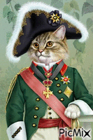 Napoleón Miau GIF animado