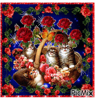 4 cute cats. animerad GIF