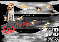 Disappointment,Worried,Sad 1 - GIF animate gratis