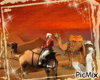 Camel  - tevék a sivatagban - GIF animé gratuit