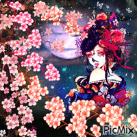 Sakura night - GIF animé gratuit