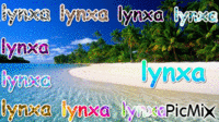 lynxa - Darmowy animowany GIF