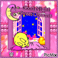 {♥}Good Night & Sweet Dreams with Tweety Pie{♥} - GIF animado grátis