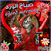 صباح الورد - Animovaný GIF zadarmo