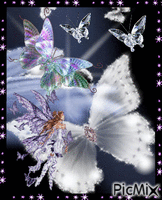 Angle and butterflies. animuotas GIF