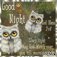 GOOD NIGHT OWL 2 geanimeerde GIF