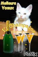 Meilleurs voeux - 3 chat et champagne - GIF animé gratuit