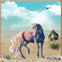 Horse on the Seaside - GIF animé gratuit