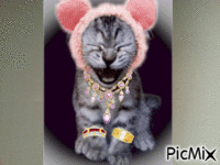 THE AYUMY CAT - Ücretsiz animasyonlu GIF