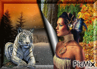 indienne et tigre du bengale animovaný GIF