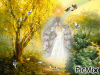 Angel guardening the nature animovaný GIF