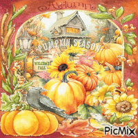 Autumn pumpkin - Бесплатный анимированный гифка