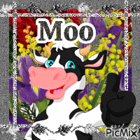Moo - GIF animé gratuit