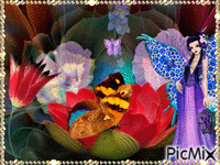 papillon Animated GIF