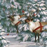 Reindeer in the Snowy Woods - Free animated GIF