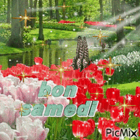 bon samedi - Zdarma animovaný GIF