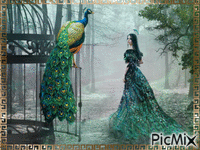 Peacock and woman #2 - Zdarma animovaný GIF