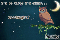Dizzy Owl animuotas GIF
