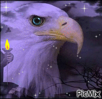 Eagle1 - Free animated GIF