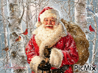 Santa and Birds 动画 GIF