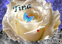 tina - 免费动画 GIF